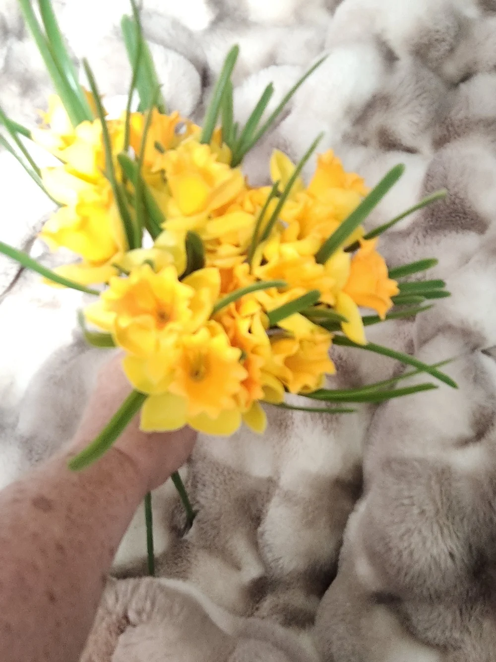 Yellow Artificial Daffodil Bouquet - Home Accents Lot Of 3